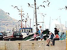 Cape Town (Nam Phi) - hải cảng đẹp nhất thế giới