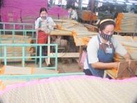 Làng nghề dệt chiếu thảm lát Định Yên – Đồng Tháp