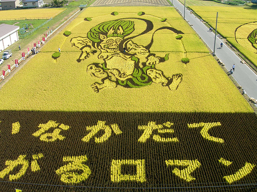 Chiêm ngưỡng nghệ thuật  độc đáo trên cánh đồng của nông dân Nhật