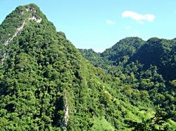 Thanh Hóa: Phát triển hạ tầng du lịch ở Khu Bảo tồn thiên nhiên Pù Hu và Pù Luông