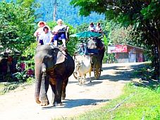 Kỳ thú Chiang Mai (Thái Lan)