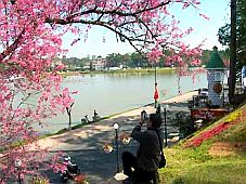 Du lịch siêu giảm giá