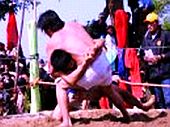 Thừa Thiên Huế: Tổ chức hội vật truyền thống làng Sình
