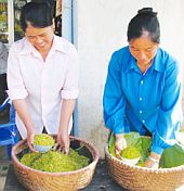 Ngày hội giã cốm ở Bắc Hà