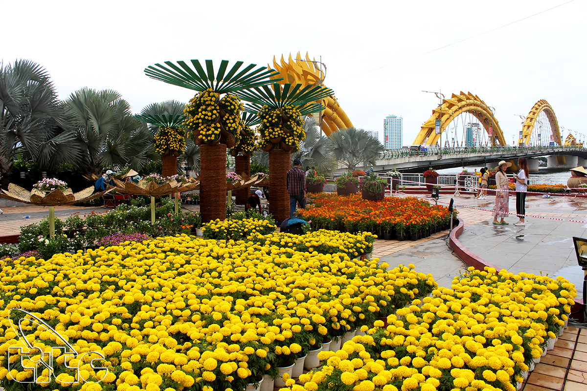 Đà Nẵng - Xuân Kỷ Hợi 2019 (Ảnh: Khánh Luân)