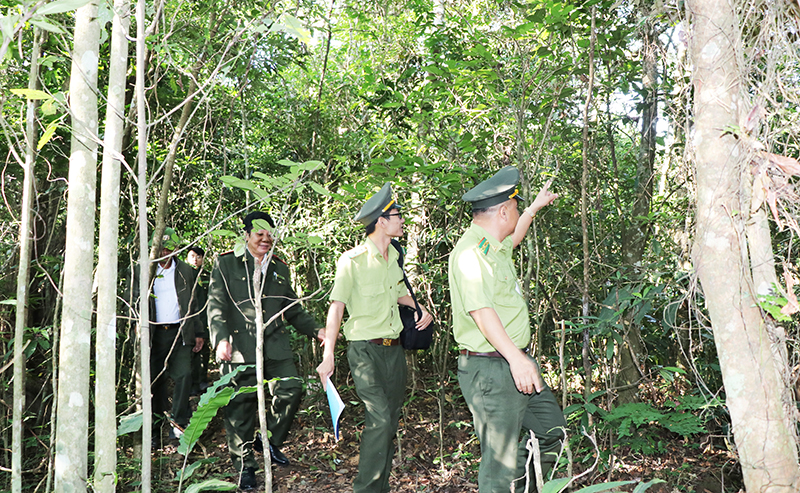 Cơ hội mới cho phát triển du lịch rừng Đồng Sơn - Kỳ Thượng (Quảng Ninh)