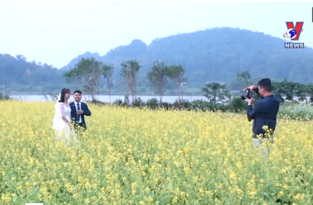 Cánh đồng hoa cải ven sông trổ hoa vàng rực thu hút du khách ở Thanh Hóa
