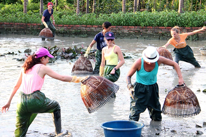 Những nông dân chân lấm, tay bùn làm du lịch ở Bình Liêu (Quảng Ninh)