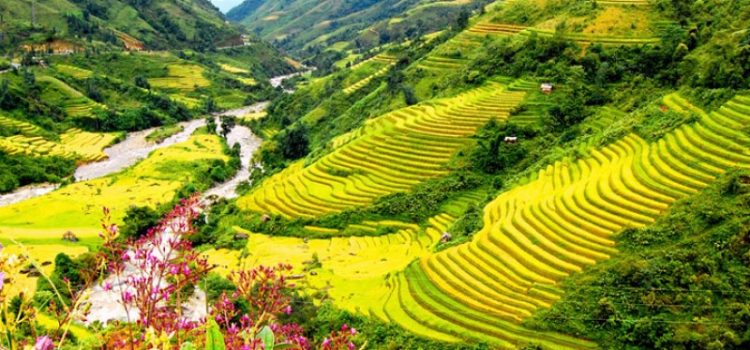 Khách sạn ở Lào Cai (2 sao - chưa xếp hạng)