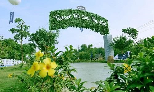 Resort bò sữa Vinamilk - điểm đến hấp dẫn ở Tây Ninh