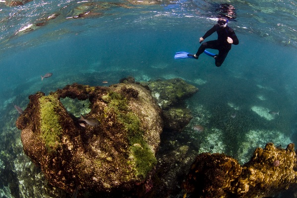 Những điểm ngắm san hô đẹp nhất Australia