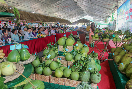 Hậu Giang: Gần 50 gian hàng tham gia ngày hội trái cây ngon
