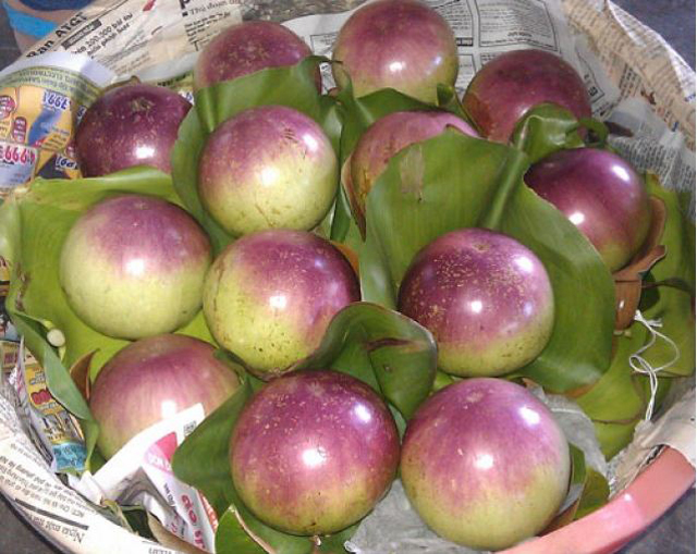 Nhà hàng - Quán ăn ở Tiền Giang