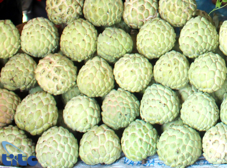 Nhà hàng - Quán ăn ở Lạng Sơn