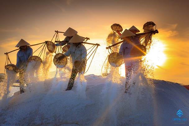 Vẻ đẹp rất riêng của cánh đồng muối tại Ninh Thuận