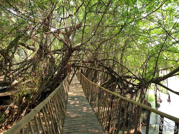 Đi qua đại dịch,  mời bạn cùng tôi đến thăm vùng đất Tây Nguyên đại ngàn