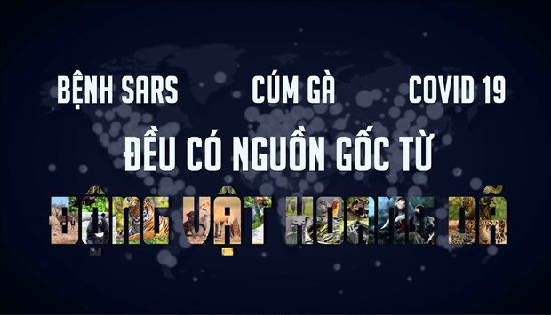 Ra mắt phim ngắn không tiêu thụ động vật hoang dã để bảo vệ sức khỏe
