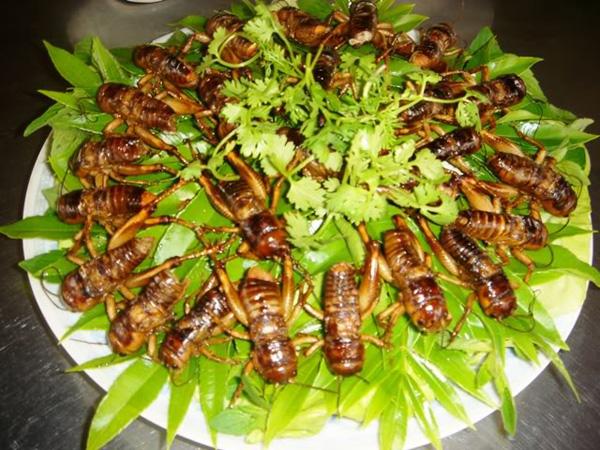 Nhà hàng - Quán ăn ở Đồng Nai