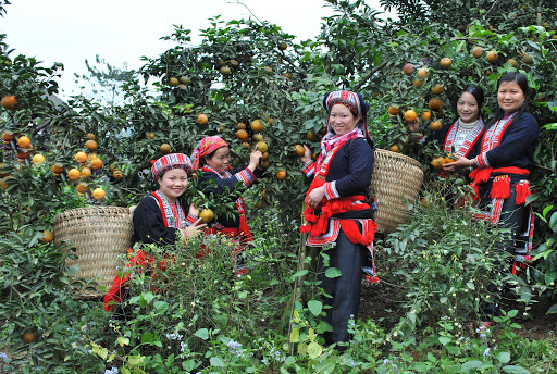 Tiềm năng phát triển du lịch nông nghiệp ở Hà Giang