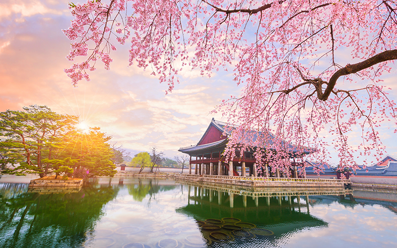 Hàn Quốc triển khai nhiều giải pháp phát triển du lịch sau dịch