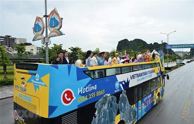 Bình Thuận và Bà Rịa-Vũng Tàu: Thí điểm vận chuyển khách du lịch bằng xe ôtô hai tầng thoáng nóc