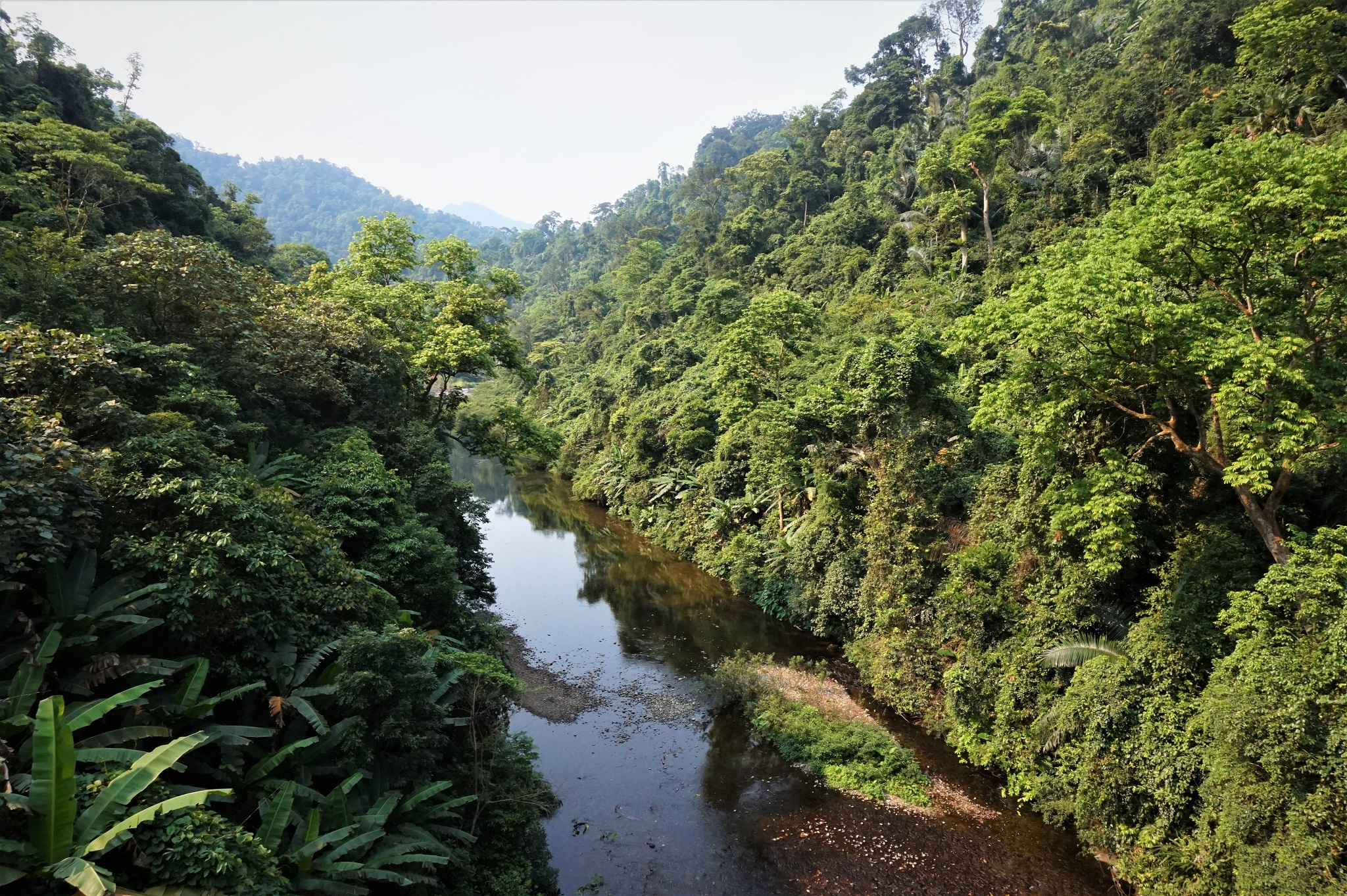 Quảng Bình: Thành lập Khu dự trữ thiên nhiên Động Châu - Khe Nước Trong