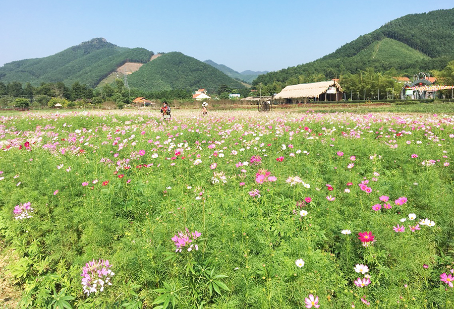 TP Hạ Long: Khi du lịch có nông nghiệp bổ trợ