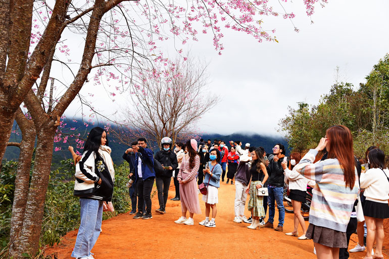 70.000 lượt khách đến Lâm Đồng dịp Tết Dương lịch
