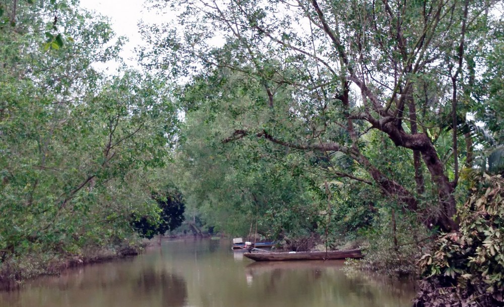 Bồng bềnh sóng nước sông Hậu khám phá miệt vườn cù lao Mây (Vĩnh Long)