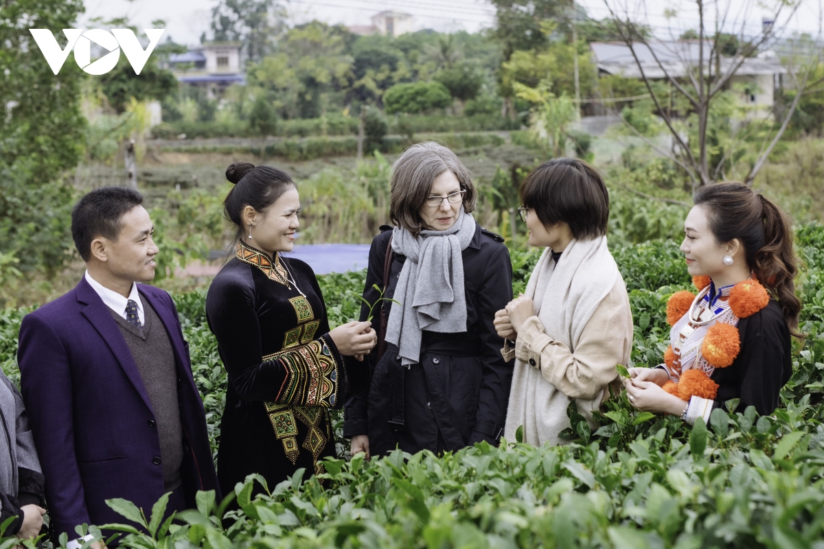 Hấp dẫn du lịch cộng đồng ở “xứ trà” Thái Nguyên