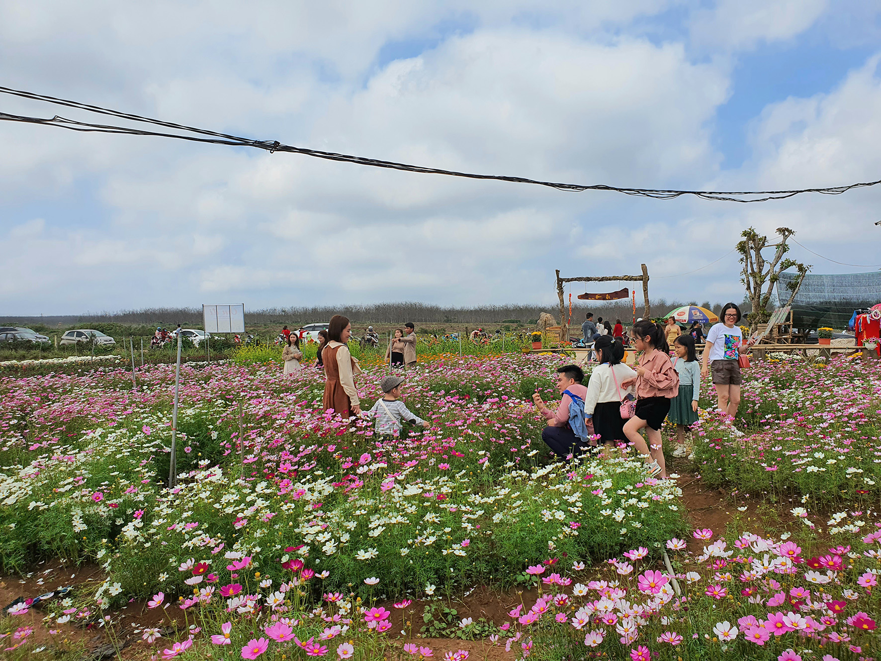 Quảng Trị:  Các điểm du lịch cộng đồng thu hút nhiều khách tham quan trong dịp tết Nguyên đán
