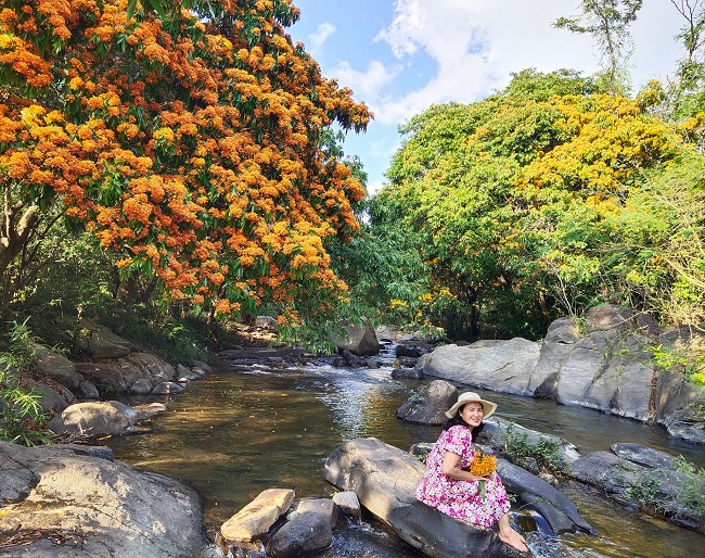 Lên suối Tà Má (Bình Định) ngắm hoa rừng