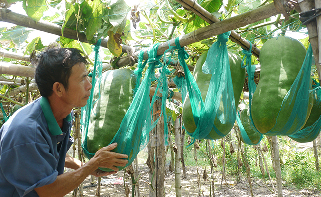 Du lịch làng nghề: Góp phần bảo tồn nghề truyền thống ở Bình Định