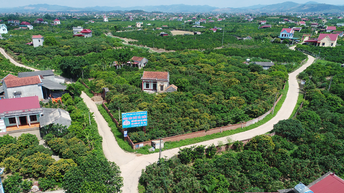 Công ty lữ hành tại Bắc Giang