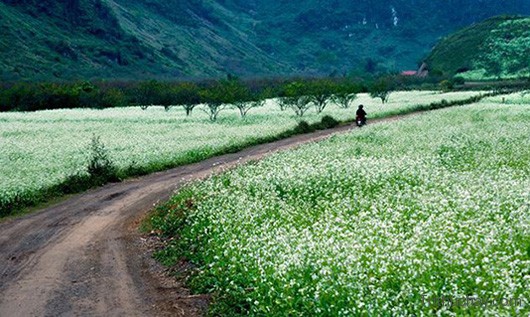 Công ty lữ hành tại Sơn La