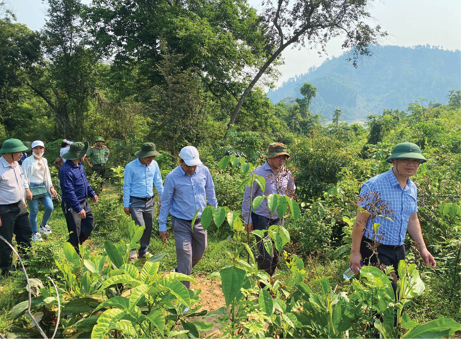 Thừa Thiên Huế: Tiến gần với mô hình du lịch sinh thái hồ Tả Trạch