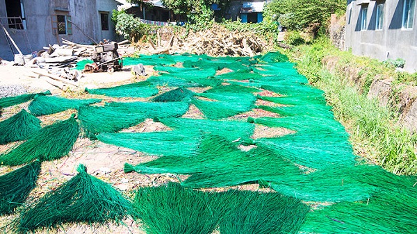 Đi qua làng nghề Tuy An