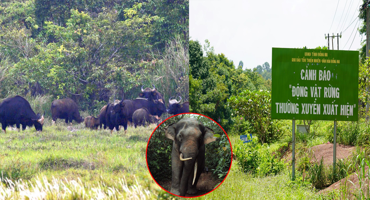 Đề nghị công nhận Khu bảo tồn Thiên nhiên – Văn hoá Đồng Nai là Vườn di sản ASEAN
