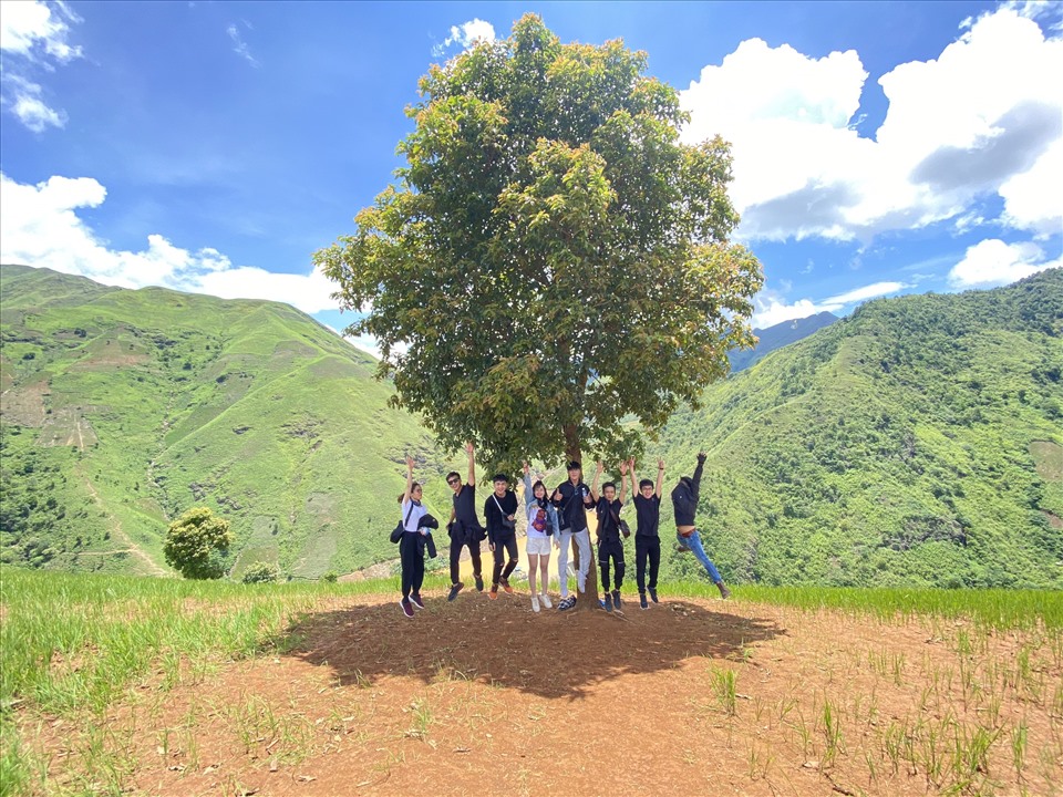 Độc đáo cây cô đơn thu hút giới trẻ ở thiên đường mây Tà Xùa