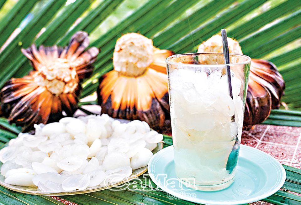 Thân thương cây dừa nước