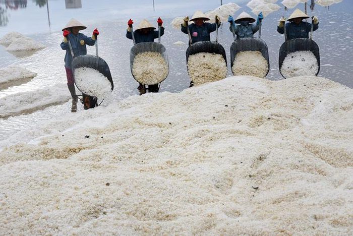 Khánh Hòa: Sẽ gắn kết hoạt động du lịch biển với du lịch trải nghiệm sản xuất và chế biến muối