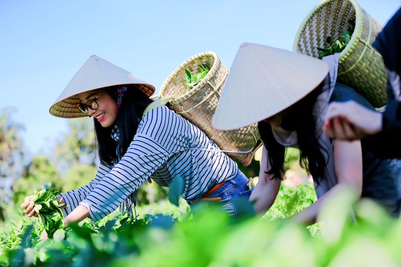Du lịch nông thôn sẽ là chủ lực phục hồi du lịch Việt Nam: Sản phẩm của du lịch nông thôn