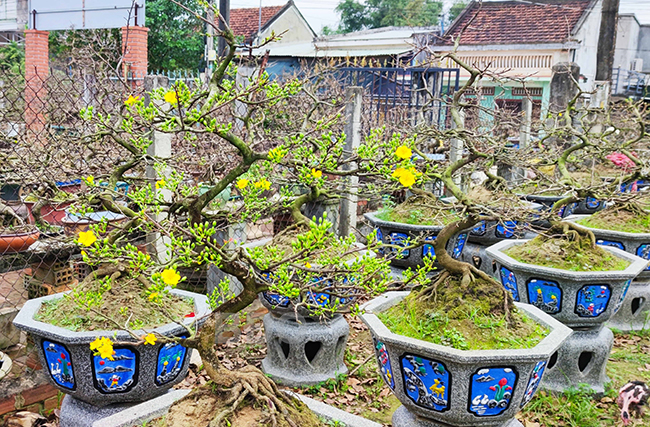 Bình Định: Làng hoa, làng nghề & làng du lịch