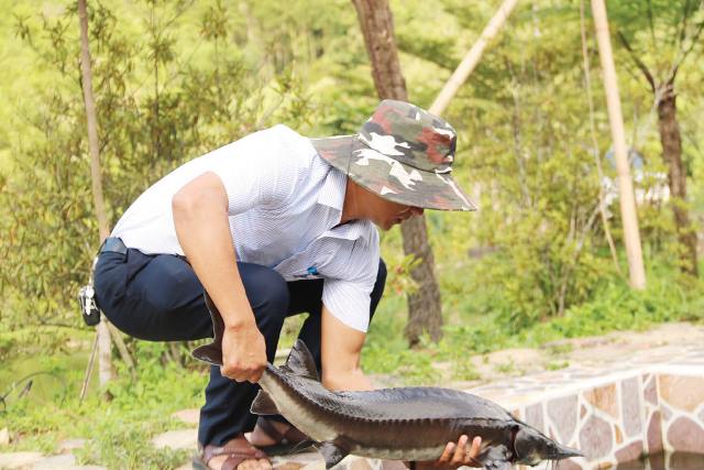 Thừa Thiên Huế: Nuôi cá xứ lạnh kết hợp làm du lịch