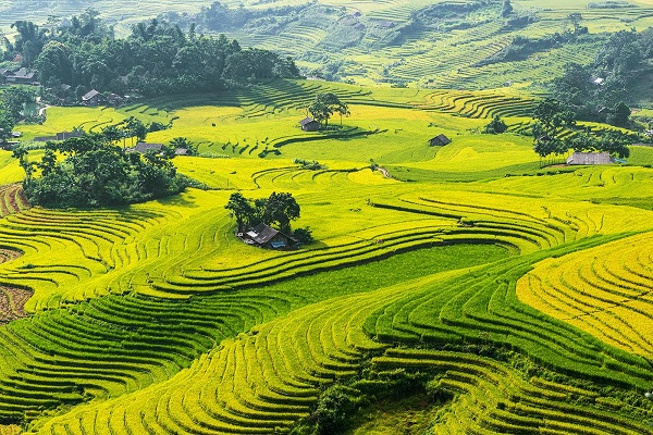 Du lịch Lào Cai phấn đấu đến năm 2030 là ngành kinh tế mũi nhọn đột phá