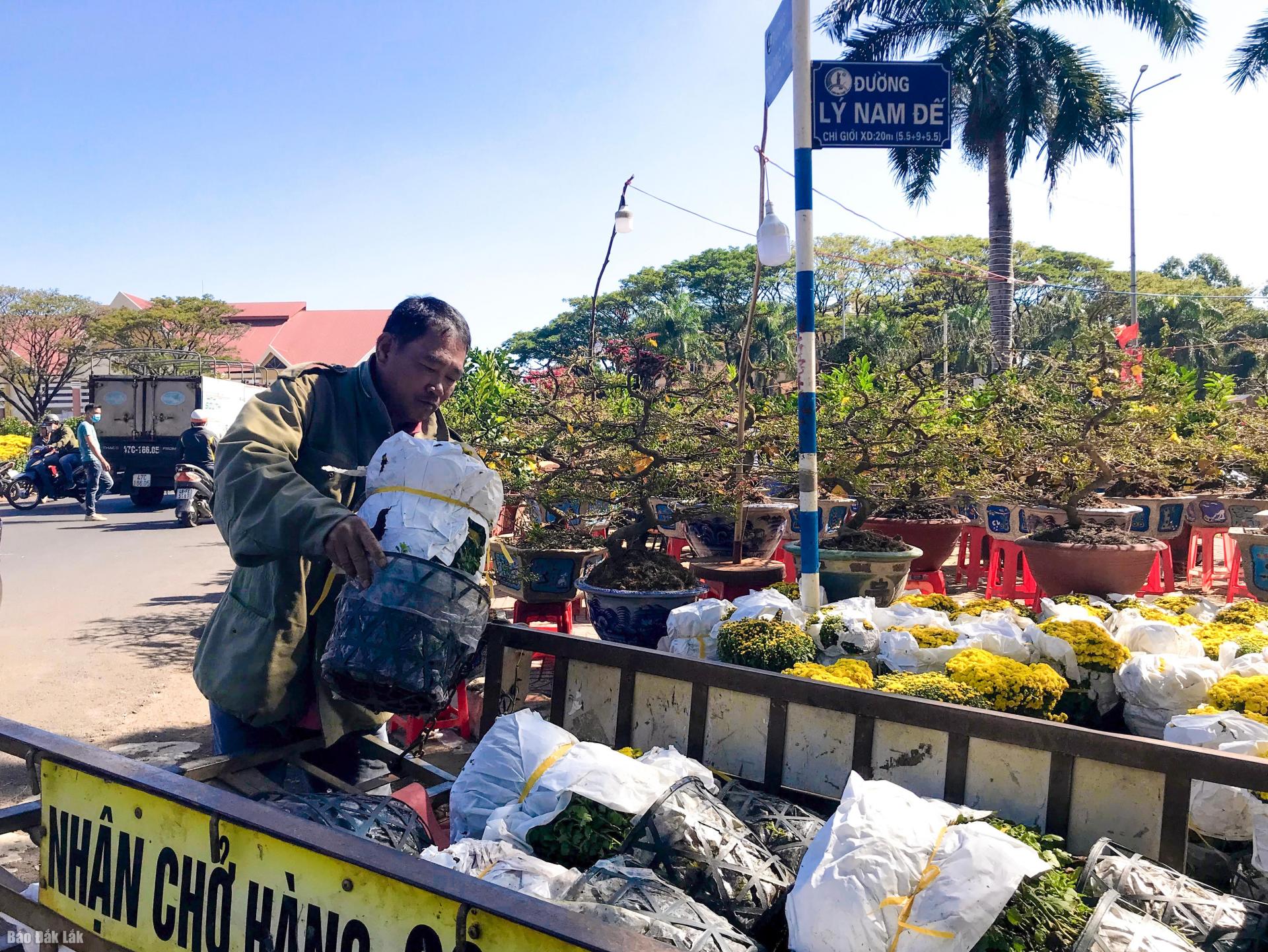 Đắk Lắk: Chợ hoa Tết Nhâm Dần sẽ diễn ra từ ngày 15 đến 29/12 âm lịch