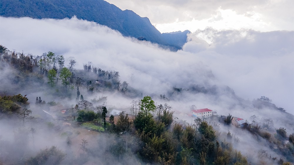 Lào Cai: Lung linh “biển mây” Mường Hoa