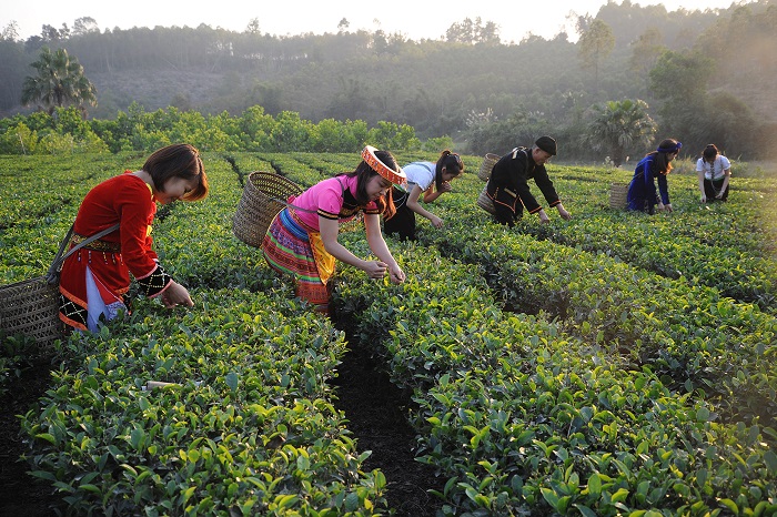 Bắc Giang từng bước xây dựng thương hiệu du lịch cộng đồng
