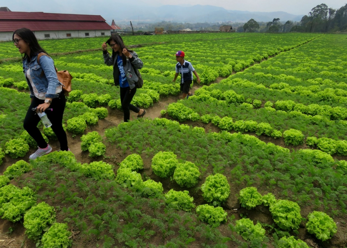 Hàng trăm làng du lịch tạo điểm tựa mới cho Indonesia