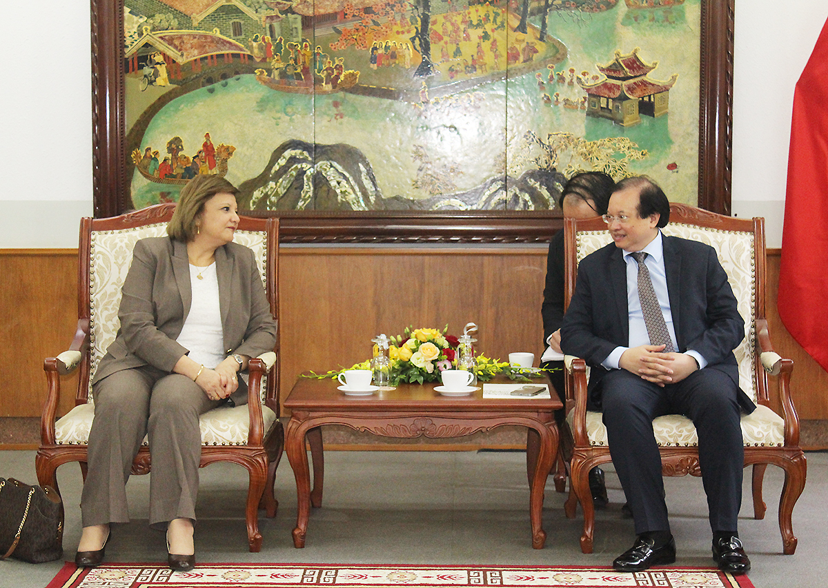 Đẩy mạnh các hoạt động hợp tác VHTTDL nhân dịp kỷ niệm 60 năm thiết lập quan hệ ngoại giao Việt Nam - Ai Cập